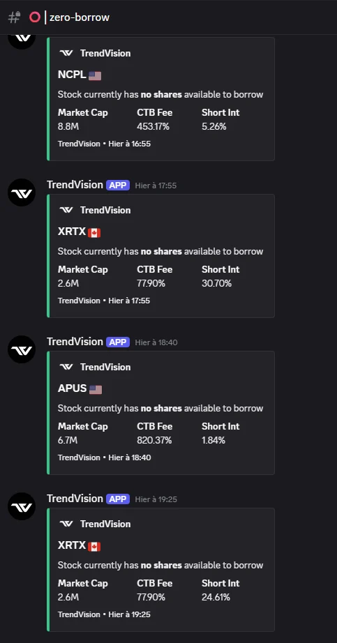 Zero borrow — example screenshot